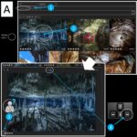 final-vote-guide (1)