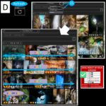 final-vote-guide (5)