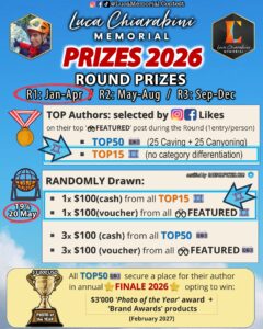 TOP15_REELS_26R1 (1)